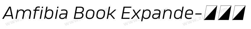 Amfibia Book Expande字体转换